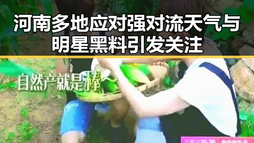 河南多地应对强对流天气与明星黑料引发关注