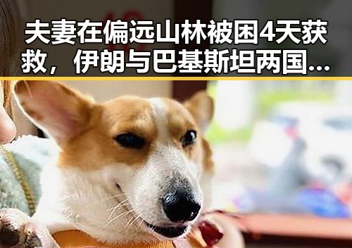 夫妻在偏远山林被困4天获救,伊朗与巴基斯坦两国政部长会晤关注地区局势