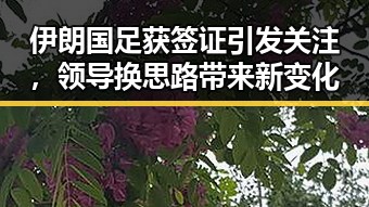 伊朗国足获签证引发关注,领导换思路带来新变化