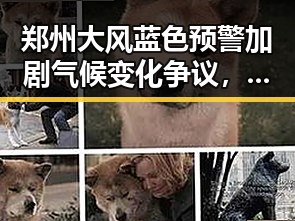 郑州大风蓝色预警加剧气候变化争议,年轻人为养生改喝果汁险丧命